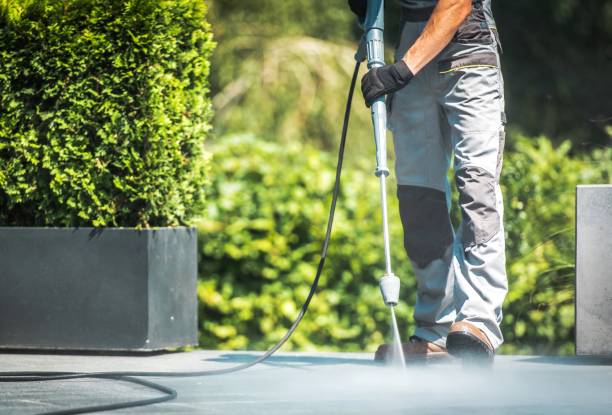Best Gutter Cleaning  in Rolla, ND