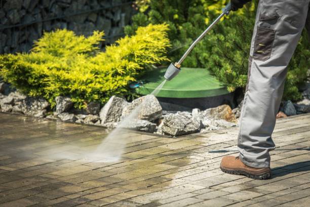 Best Spring Cleaning  in Rolla, ND